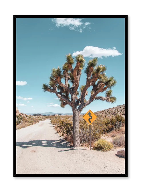 Desert Road Poster - SavvyMom