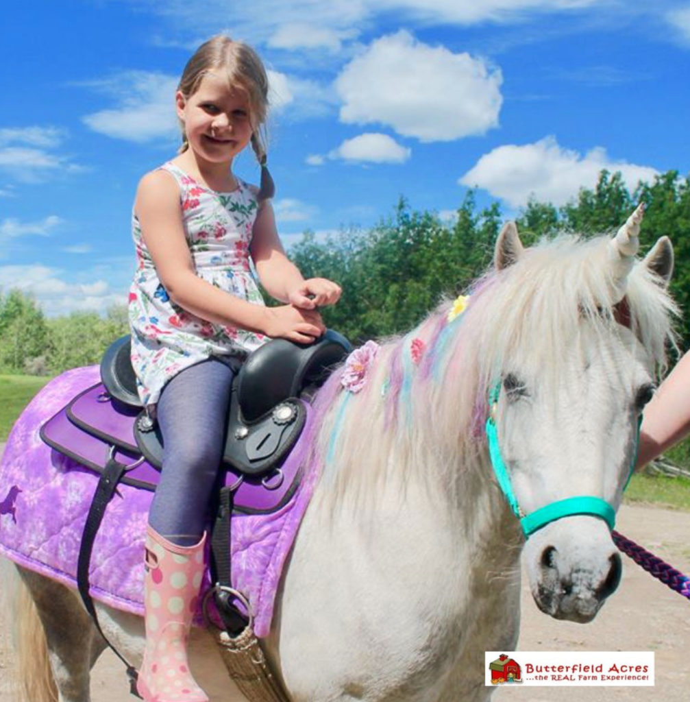 Our Favourite Birthday Party Places in Calgary - SavvyMom