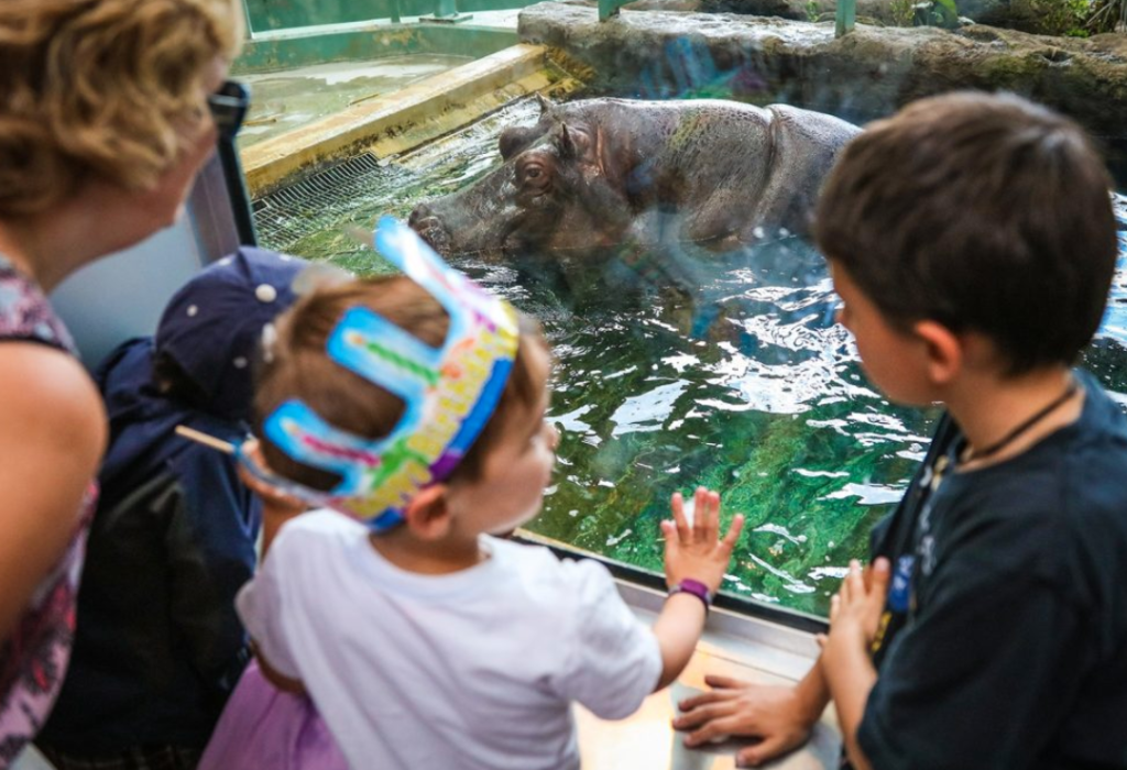 Our Favourite Birthday Party Places in Calgary - SavvyMom