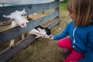 Fun Farms & Petting Zoos in Vancouver - SavvyMom