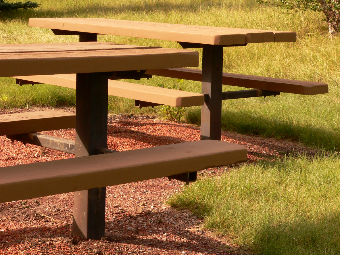 The Best Calgary Picnic Spots for Families SavvyMom