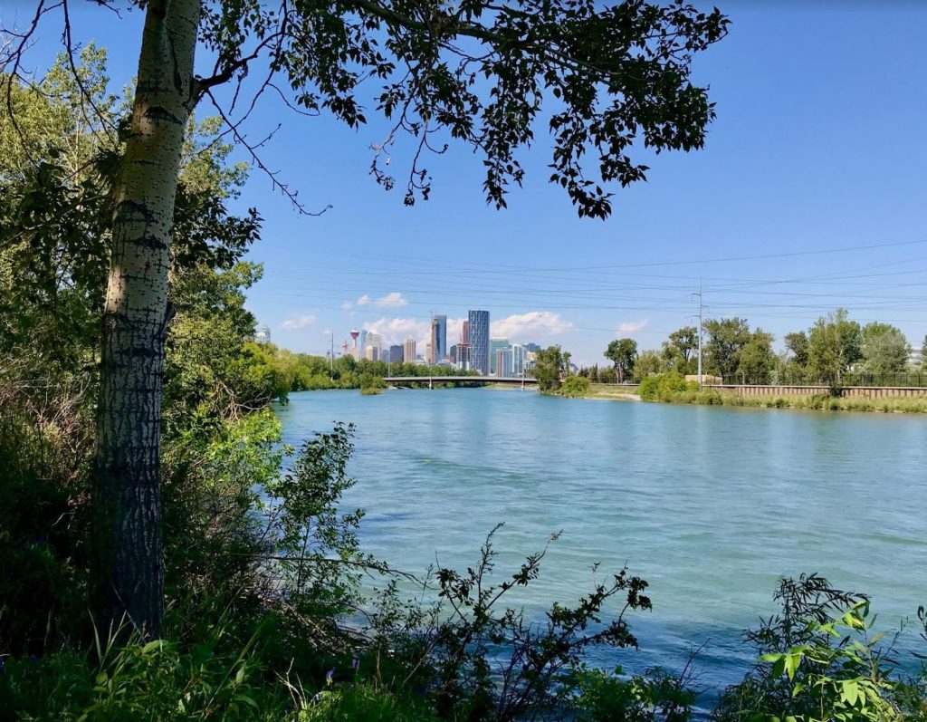 The Best Calgary Picnic Spots for Families SavvyMom