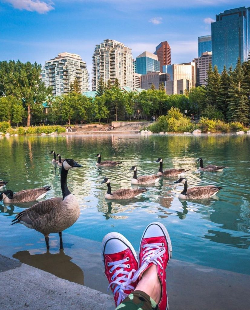 The Best Calgary Picnic Spots for Families SavvyMom