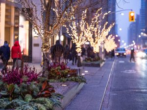 Best Spots for Holiday Shopping in Toronto - SavvyMom
