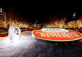 Toronto in November: Canada's Wonderland Winterfest - SavvyMom