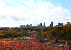 Fun Things to Do in Toronto in October for Families - SavvyMom