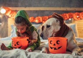 Family Activities and Events for Halloween in Ottawa