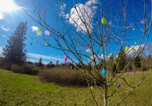 Ottawa Easter Weekend Activities and Events - SavvyMom