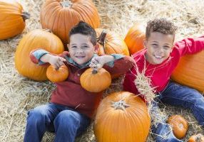 Pumpkin Patches in Toronto and GTA - SavvyMom