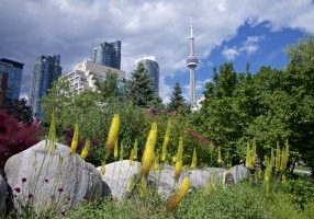 Fun Family Events in Toronto in June - SavvyMom