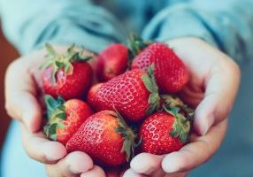 Best Spots for Berry Picking in Ottawa - SavvyMom