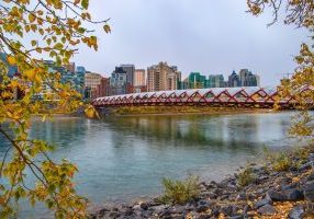 Things to Do on Thanksgiving Monday in Calgary - SavvyMom