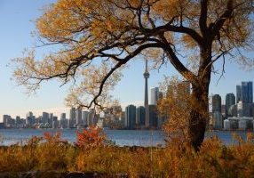 Things to Do on Thanksgiving Monday in Toronto - SavvyMom