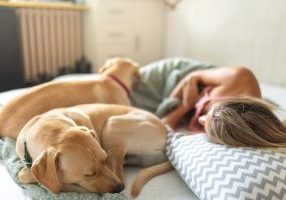 Things I Wish I Knew Before My Marriage Ended - SavvyMom