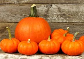 The Savvy Guide to October - SavvyMom