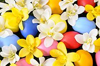 eggsandflowers