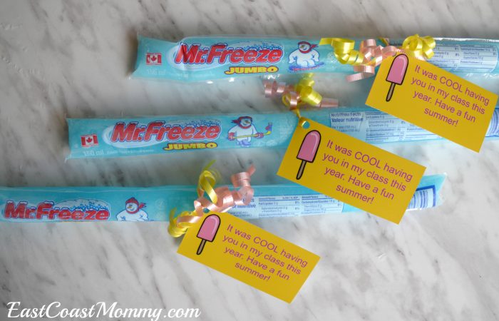 class treat_freezies
