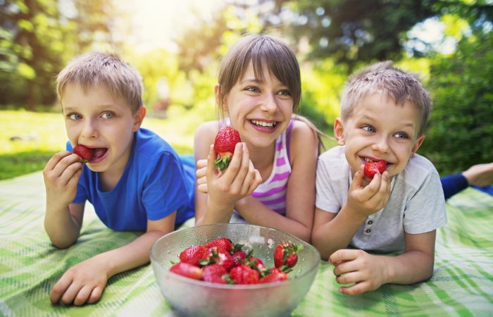 Our favourite playgrounds and parks in the GTA