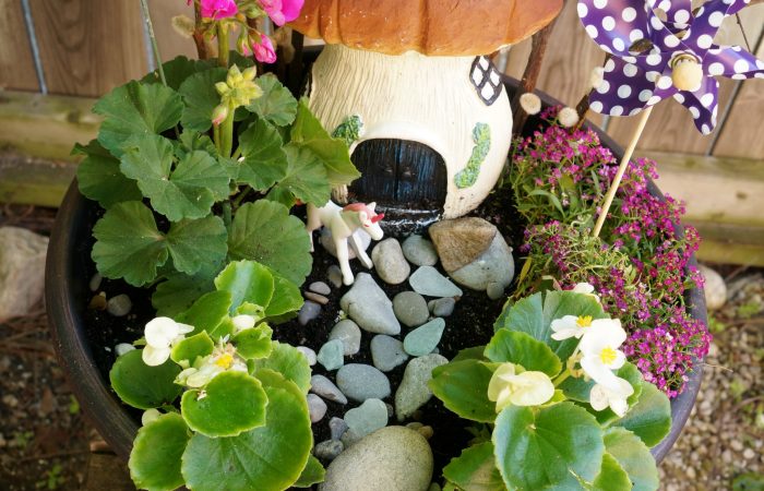 Fairy garden final from above
