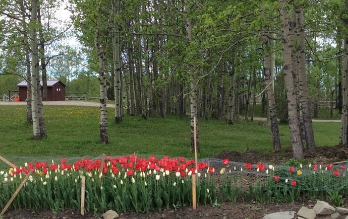 Water Valley