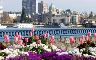 the_savvy_guide_to_March_in_Victoria