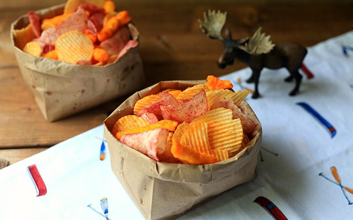 True North Chip Collection