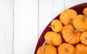 the_savvy_guide_to_october_in_victoria