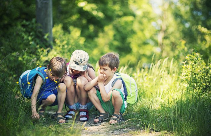 How to Protect Your Kids from Tick Bites - SavvyMom