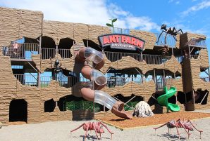 The Ant Farm
