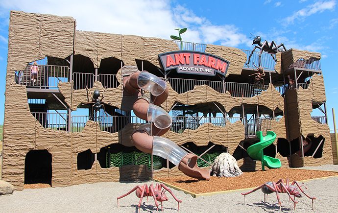 The Ant Farm