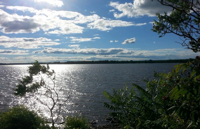 Petrie Island