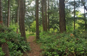 Vancouver hikes_feature