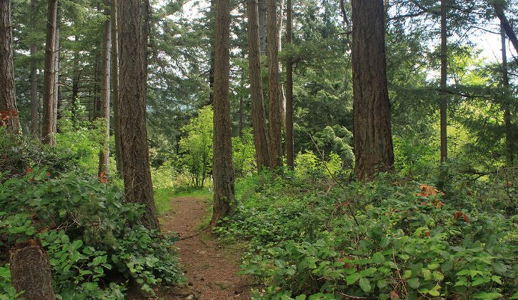 Vancouver hikes_feature