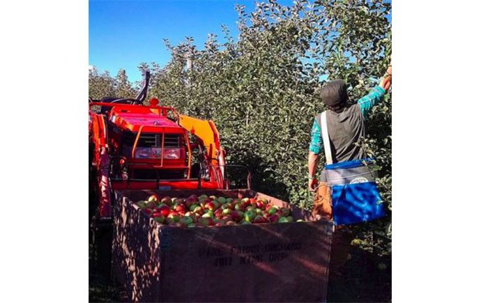 Pine Farms Orchard