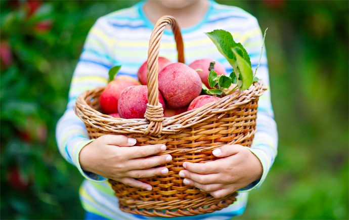5 Ottawa Apple Orchards We Love