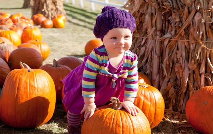 7 Things To Do in Ottawa Over Thanksgiving Weekend