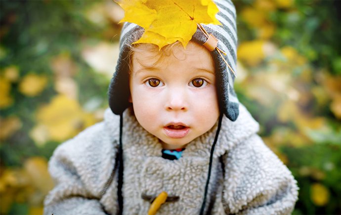 8 Things To Do in Calgary Over Thanksgiving Weekend