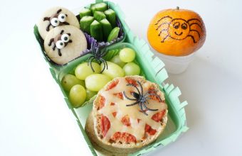 Spider lunch_features