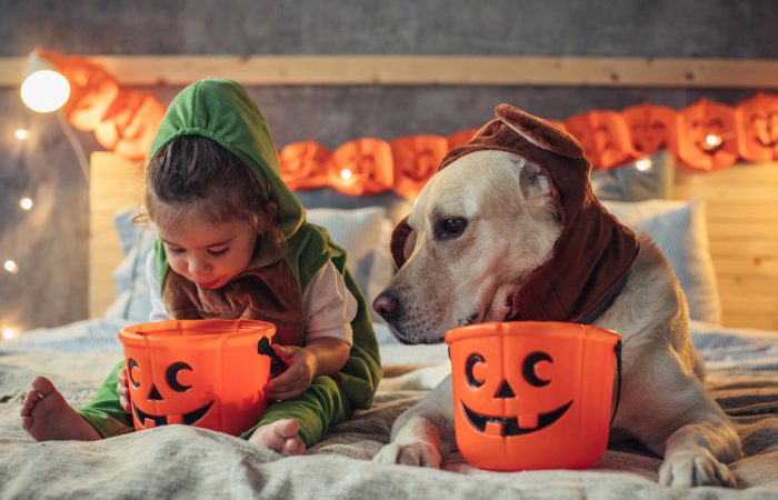 Family Activities and Events for Halloween in Ottawa