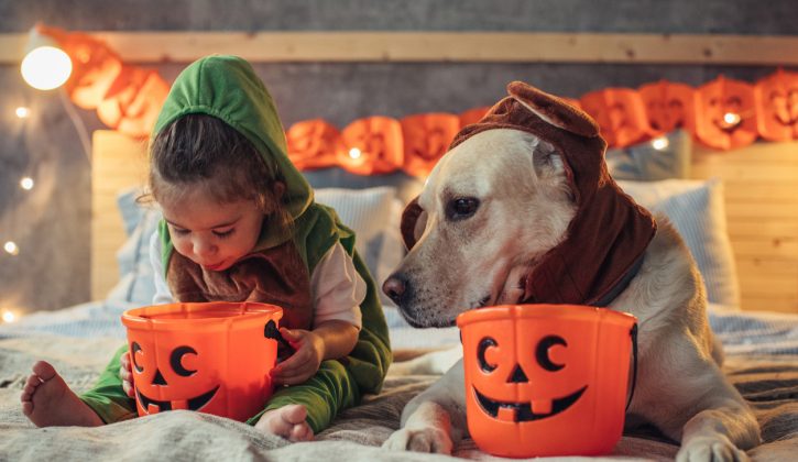 Family Activities and Events for Halloween in Ottawa