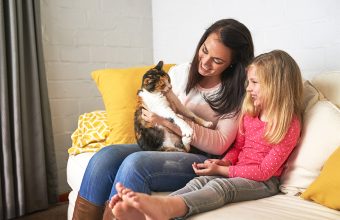 Arm and Hammer Twitter Party