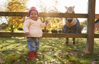 Things to Do in Ottawa With Babies, Toddlers & Preschoolers for $5 or Less
