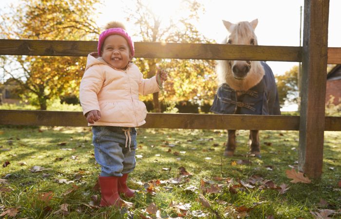 Things to Do in Ottawa With Babies, Toddlers & Preschoolers for $5 or Less
