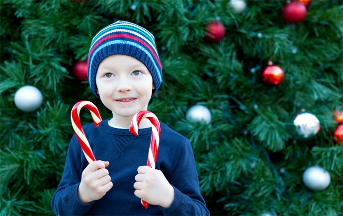 Where to Get the Perfect Tree in the Toronto Area