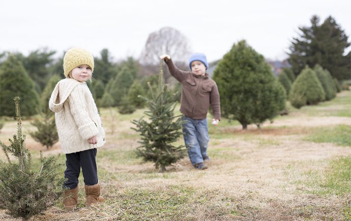 5 U-Cut Christmas Tree Spots in Vancouver