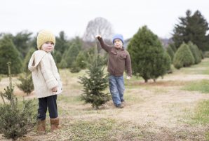 U Cut Christmas Tree Spots in Vancouver_feature