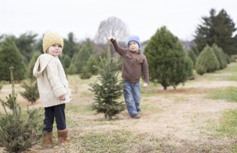 U Cut Christmas Tree Spots in Vancouver_feature