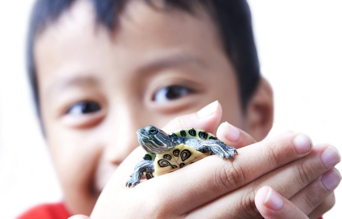 March Break Camps in Ottawa - SavvyMom