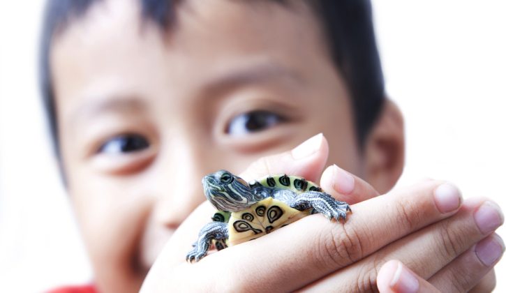 March Break Camps in Ottawa - SavvyMom