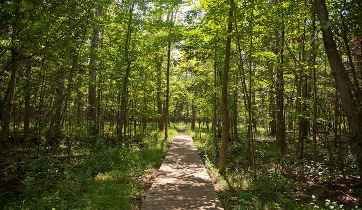 Image result for go for a walk in nature